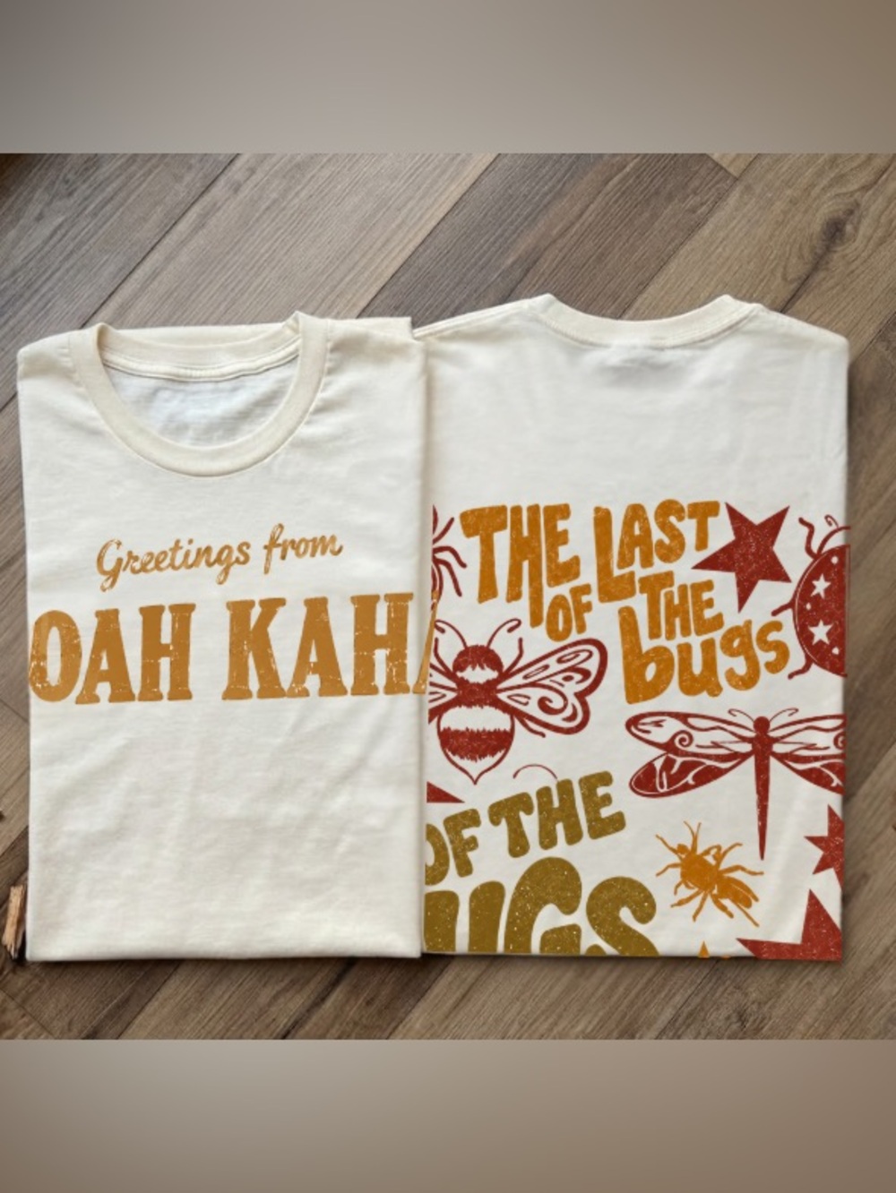 Noah Kahan The Last of The Bugs Bee Ladybug Dragonfly Stars Vintage T-Shirt